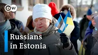 What do Russians in Estonia think about Putins war in Ukraine? | Focus on Europe