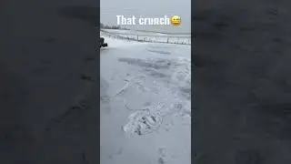 Crunchy snow/ice driveway #shorts #snow #ice