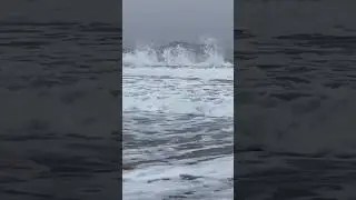 #новыйсвет