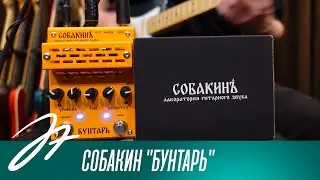 Собакин 
