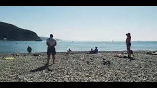 Архипо-Осиповка . Где самый чистый пляж. База отдыха Рассвет. Часть 1