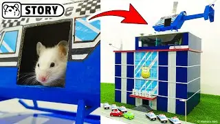 Hamster Police Maze 👮 Adventures of cute lieutenant Homura 👮 Homura Ham