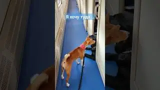 Я хочу туда, впустите! 