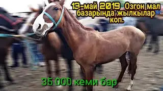 13,05,2019 #Озгон мал базары балалуу бээ жана уйлар кенир эле  болуп...