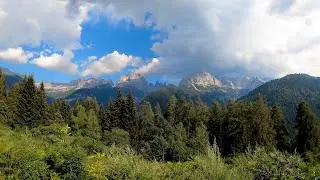 Calm Footage Of Nature