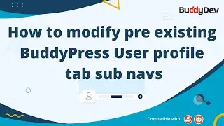 How to modify Pre-existing BuddyPress User Profile Tab Sub-Navs