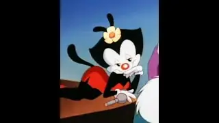 Animaniacs Intro meme Joker