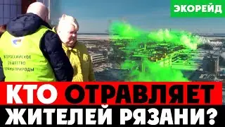 Рязань страшно воняет. Головы животных в водоканале. Кто виноват? Большое расследование Экорейда