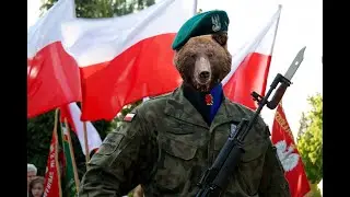 Wojtek - Der polnische Soldatenbär