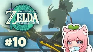 Legend of Zelda: Tears of the Kingdom Part 10 Faellie