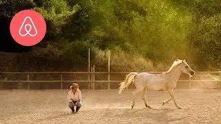 Meet the Catalan Horses | Airbnb Experiences | Airbnb