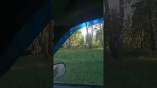 наши стадо идём домой