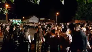 Kına 53 "Вишна" - Kasap Havası ┃ Ork.Grup Aydos