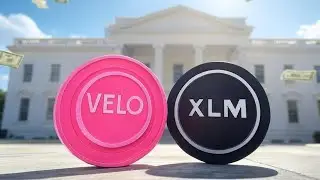 Velo & Stellar - GAME CHANGING! | The Deeper Dive