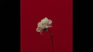 (FREE) ISAIAH RASHAD x AARON MAY TYPE BEAT 