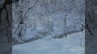 Зима в Снежном!