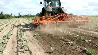 Прополка и окучивание капусты