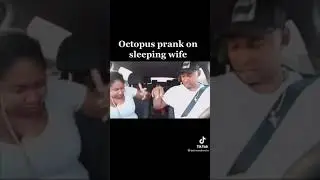 ПРАНК НАД ЖЕНОЙ - ОСЬМИНОГ / ПРИКОЛЫ В МАШИНЕ😂🔥