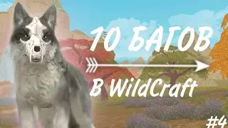 10 БАГОВ В ВАЙЛД КРАФТ #4