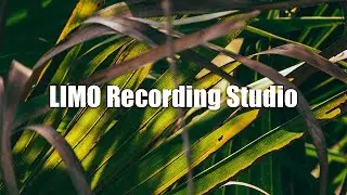 Jimena Contreras - Golden Cage (No Copyright Music)