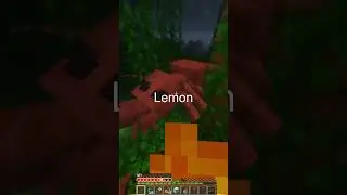 Science + Minecraft = (REAL) FIRE ANTS!