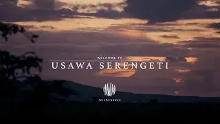 Wilderness Usawa: Discover the Great Migration