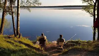 Рыбалка с Ночёвкой на Чигиринском  Водохранилище. Рыбалка на Фидер. Много Подлещика на Фидер.