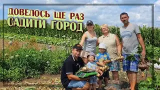 Все буде🇺🇦 Що можна посіяти після цибулі та часнику. УРОЖАЙ сіянки❗️ Переможець парі❗️