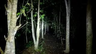 NEKAD CARI JERANGKONG KALA HUJAN