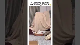 😹Выспался? 