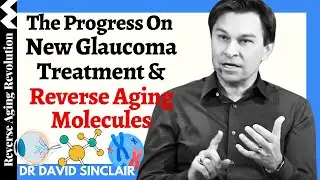 NEW Glaucoma Treatment & REVERSE Aging Molecules Jul 2024 Update | Dr David Sinclair