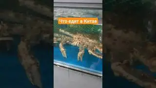 Морепродукты на Хайнане , что едят китайцы 2024