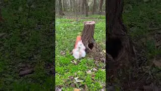There is a little cutie living in the forest 