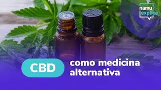 O que é CBD? - Namu Explica