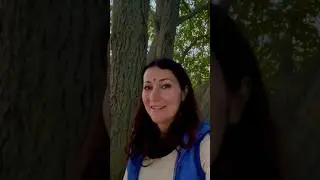 С гурупурнима, друзья!