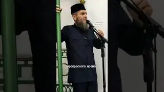 Служить истине из прекрасного нрава. 