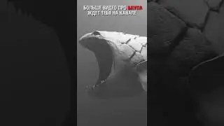 Что за Звук Блуп Bloop  
