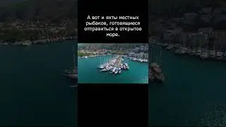 Вы ни за что не догадаетесь где это место #shortsvideo #путешествия #красивыеместа