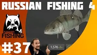 RUSSIAN FISHING 4 #37 Steinschill ohne Ende