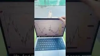 This is why I became a Day Trader 🛫