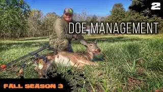 Episode 2: Doe Patrol | Bow Hunting 2021 | Doe Management | Perfect Shot