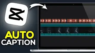 How To Add Auto Captions/Lyrics On CapCut (PC) - Easy Guide