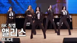 앨리스 ( 쇼다운 ) SHOW DOWN 팬사인회 직캠 ALICE Fancam 230429