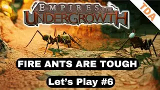 Fire ants swarm everything they see | Empires of the Undergrowth