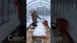 СНЕГ В ТЕПЛИЦЕ НУЖЕН или НЕТ? 