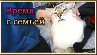 ВЛОГ: Хороший день