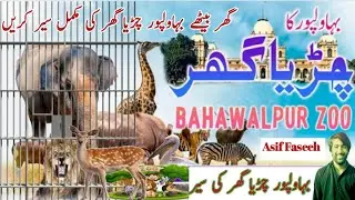 Bahawalpur Zoo//Complete And Full View Of Bahawalpur Zoo //14 August 2024//Yome Azadi Pakistan//Zoo
