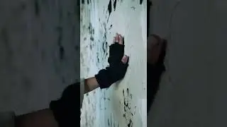 Во что превращаются заброшенные квартиры 