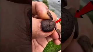 Waterproof Mehendi that lasts for a whole year 🖐️😱 #short #shorts