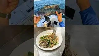 Where does Restaurant Seafood Come From? 